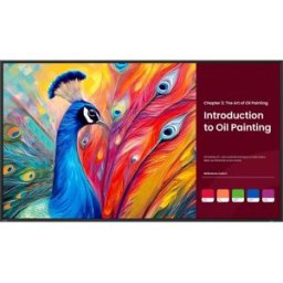 BenQ Mon 65ds Uhd 4k Hdmi 800ni Pantone 8gb 64gb Hdmi 24/7 And13 Sh6504