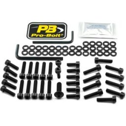 Pro Bolt Kit Di Viti Per Motore Yamaha Yzf-r1 1000 09-1/yzf-r1 1000 Gp 12 Black One Size