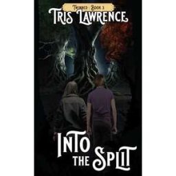 Into the Split