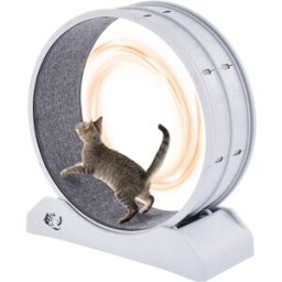 NONE Ruota per Esercizi per Gatti SucceBuy, 31,5 Pollici, Grande Ruota con Freno di Sicurezza e Tappeto, Funzionamento Silenzioso, Tapis Roulant per Animali Domestici per Perdita di Peso White