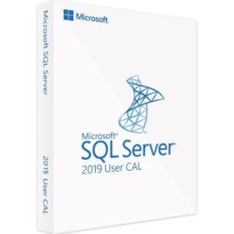 Microsoft SQL Server 2019 Standard (CAL) – Licenza Completa