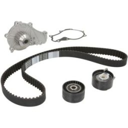 Continental Ctam Pompa dell'acqua + kit cinghia di distribuzione CONTINENTAL CT1092WP1