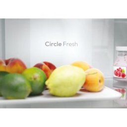 Candy Fresco CNCQ2T618EW Libera installazione 355 L E Bianco (34005746)