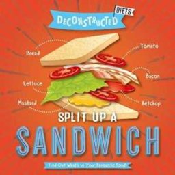 Shalini Vallepur Split Up a Sandwich