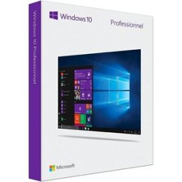 Microsoft Windows 10 Professional ( Product key )