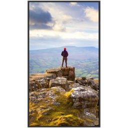 Sharp PN-E439 Pannello piatto per segnaletica digitale 109,2 cm (43") LCD 350 cd/m² 4K Ultra HD Nero 16/7 (PNE439)