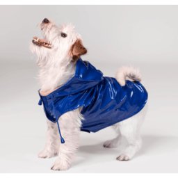 Yes! Impermeabile Cane Raindrop Blu 20CM
