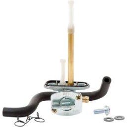 All Balls Kit Di Ricostruzione Della Pompa Del Carburante Yamaha Yfm 250 X 99-0/yfm 250 Xh 01-02 Silver One Size