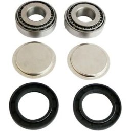 Epi Kit Di Riparazione Del Forcellone Arctic Cat 250 2x 06-09/honda Trx 250 97-01 Black One Size