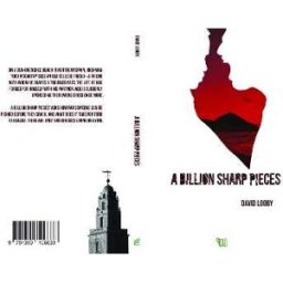 David Looby A Billion sharp pieces