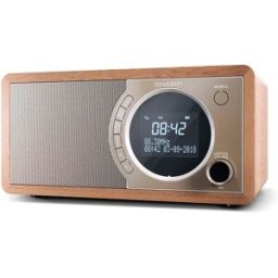 Sharp Radio Digitale Dr-50 (br)