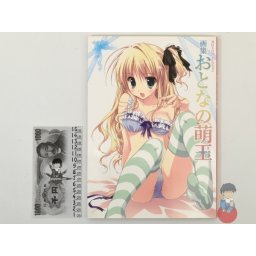 Artbook - MOEOH SELECTION ~ Motto Otona no MoeOh Illustration
