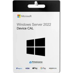 Microsoft Windows SQL Server 2022 Standard CAL