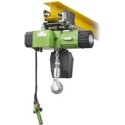 Rwm 1000WR8-CS Paranco elettrico professionale a catena su carrello a spinta, portata 1000Kg