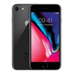 Apple iPhone 8 Ricondizionato 256 GB Grigio Siderale 256 GB Grigio Siderale