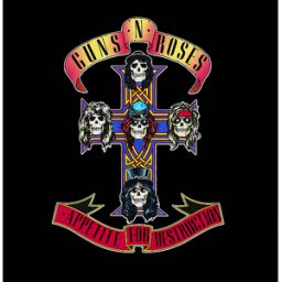 Appetite for Destruction [Vinyl]