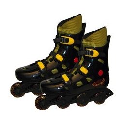 Pattini In Linea Mis. 42/43