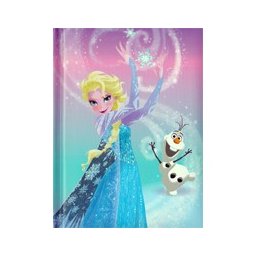 Diario Frozen - Elsa Ed Olaf
