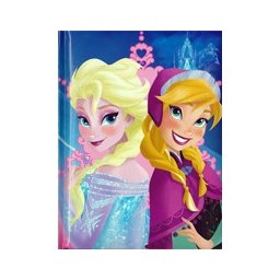 Diario Frozen - Elsa Ed Anna