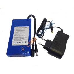 Batteria a Litio Celle Classe AAA 12V 6800mA con Caricabatteria