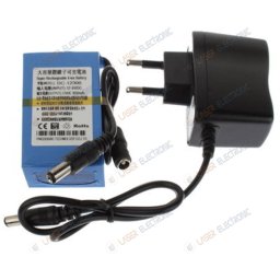 Pacco Batteria a Litio Ricaricabile 12V 3AH 3000mA con Caricabatteria 220V
