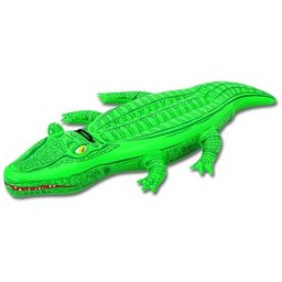 Coccodrillo Da Cavalcare