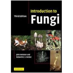 Introduction to Fungi