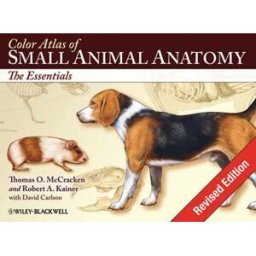 Color Atlas of Small Animal Anatomy