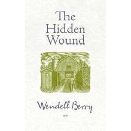 Hidden Wound