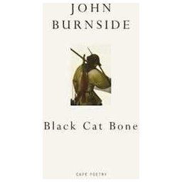 Black Cat Bone