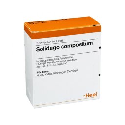 Solidago Compositum 10 Fiale 2,2ml Heel