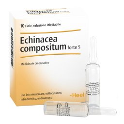 Echinacea Compositum S 10 Fiale Forte Heel