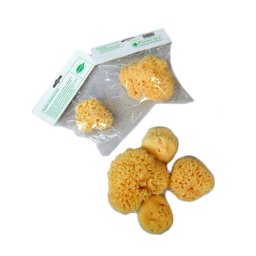 SPUGNA Nat.Fori L n.7 F/CARE