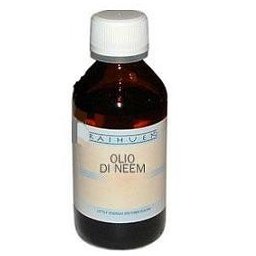 RAIHUEN Neem Olio Puriss.100ml