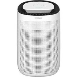 Cecotec BigDry 2500