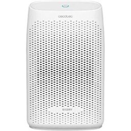 Cecotec BigDry 2000 Essential