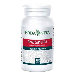 SPACCAPIETRA 60CPS 300MG