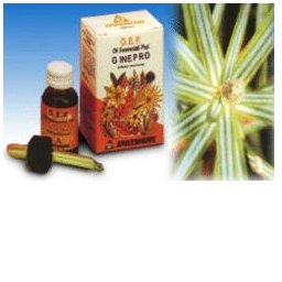 GINEPRO OLIO ESS 10ML SPECCH