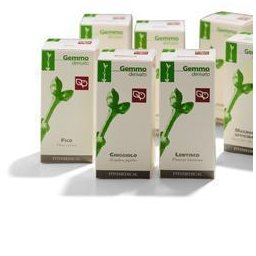 ROSMARINO 100ML MG FTM