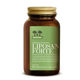 SALUGEA LIPOSAN FORTE 62CPS