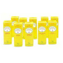 ZENZERO OLIO ESS 10ML FTM