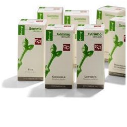 BETULLA VERR LINFA 50MLMG FTM