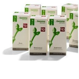 LAMPONE 50ML MG FTM
