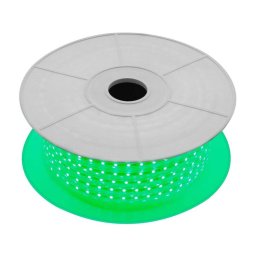 Trade Shop - Striscia Led Luminosa Flessibile 100 Mt Luce Verde 5050 220v Illuminazione Cw581 -