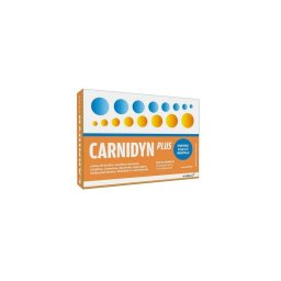 Carnidyn Plus integratore alimentare di aminoacidi e creatina 20 bustine 5 g