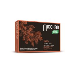 Micosan Energy 40 capsule 19 g