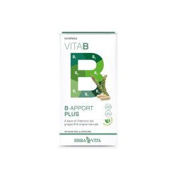 B-apport Plus 45 Capsule