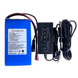 Batteria a Litio LiFePo4 12V (14.6V) 8AH 8000mA + Charger 14.4V 2.0AH