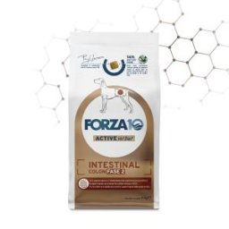FORZA 10 DIET ACTIVE LINE DIET INTESTINAL COLON 2 4KG