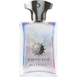 Amouage / Portrayal Man - Eau de Parfum for Him 100 ml